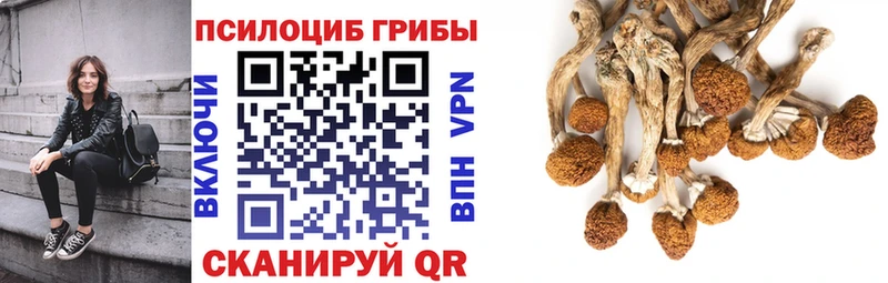 даркнет наркотические препараты  Нерехта  Псилоцибиновые грибы Psilocybine cubensis  что такое наркотик 
